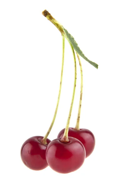 Cherry izolovaných na bílém pozadí closeup — Stock fotografie