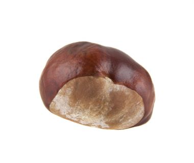 Beyaz arka plan closeup izole kestane