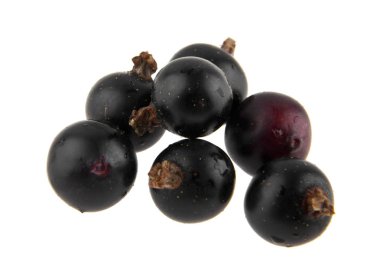 Beyaz arka plan closeup izole Siyah frenk üzümü