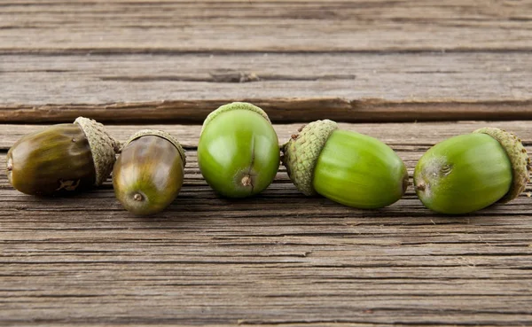 Bellotas sobre fondo de madera —  Fotos de Stock