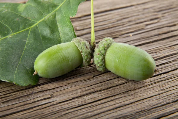 Acorns on a wooden background closeup — Stock Photo, Image