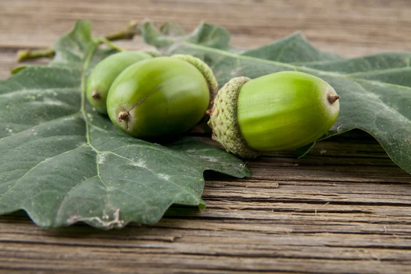 Acorns on a wooden background closeup — Stock Photo, Image