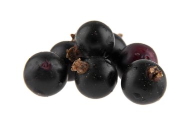 Beyaz arka plan closeup izole Siyah frenk üzümü
