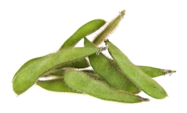 Soja geïsoleerd op een witte achtergrond close-up — Stockfoto