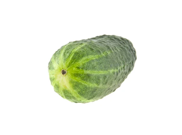 Concombre vert frais isolé sur fond blanc gros plan — Photo
