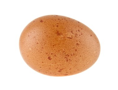 Beyaz arka plan closeup izole tavuk yumurta