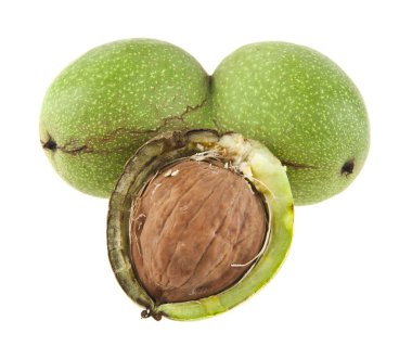 Beyaz arka plan closeup izole ceviz