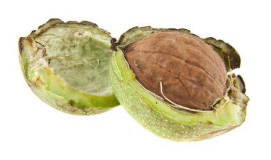 Beyaz arka plan closeup izole ceviz