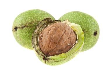 Beyaz arka plan closeup izole ceviz