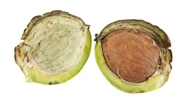 Yeşil ceviz beyaz zemin üzerine izole