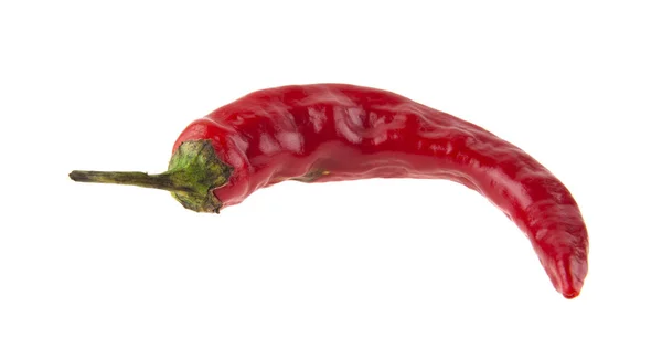 Röd paprika isolerad på vit bakgrund närbild — Stockfoto