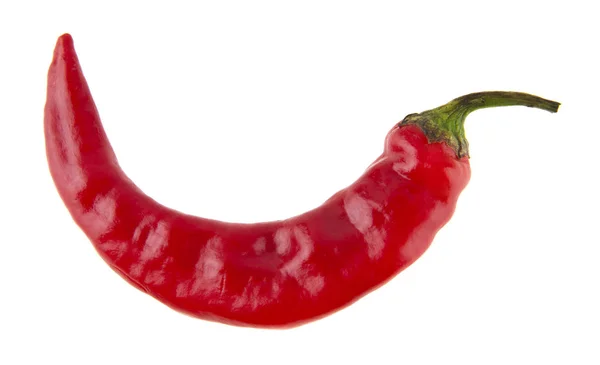 白色背景特写一个孤立的红辣椒 — 图库照片