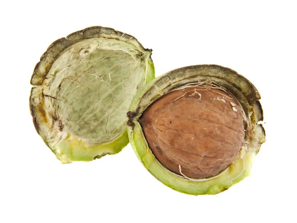 Beyaz arka plan closeup izole ceviz