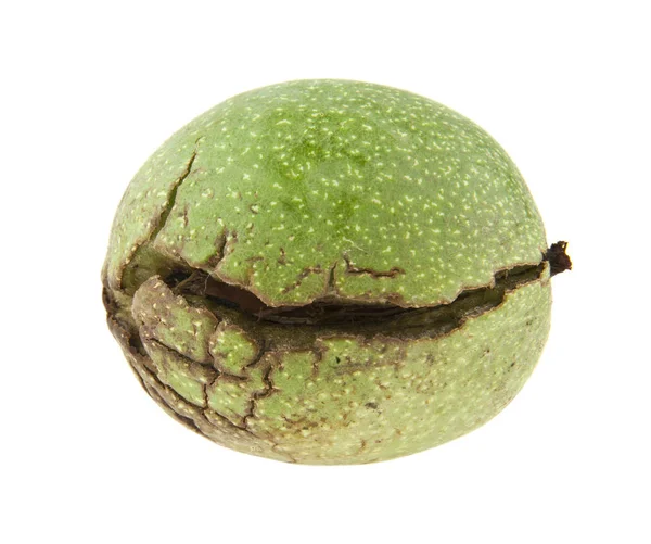 Πράσινα καρύδια που απομονώνονται σε λευκό φόντο — Φωτογραφία Αρχείου