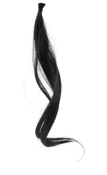 Rizo de pelo negro aislado sobre fondo blanco de cerca — Foto de Stock