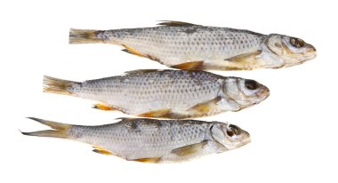 kurutulmuş balık beyaz arka plan closeup izole