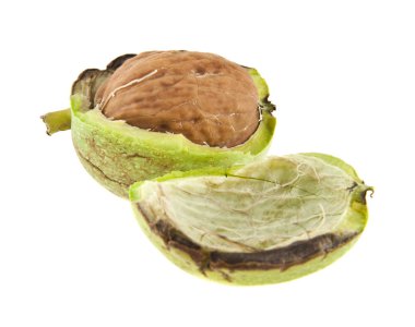 Yeşil ceviz beyaz arka plan yakın çekim izole