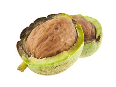 Yeşil ceviz beyaz arka plan yakın çekim izole