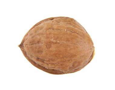 Beyaz arka plan yakın çekim izole ceviz