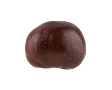 Beyaz arka plan closeup izole kestane