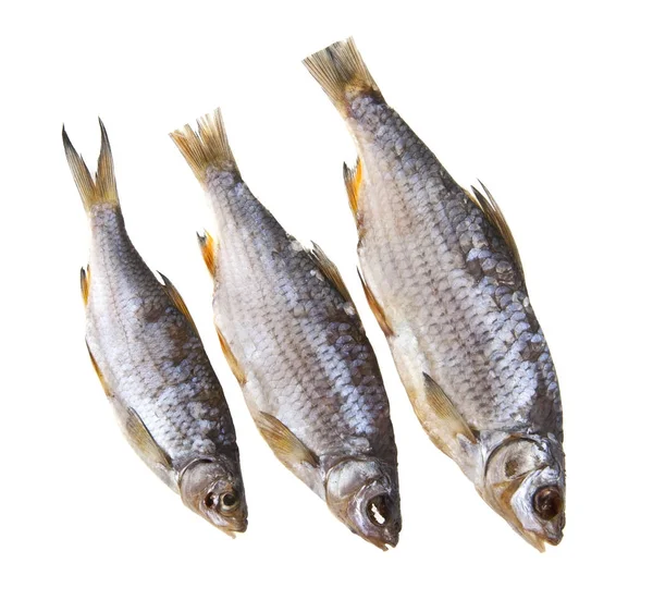 Ruckartige Fische isoliert auf weißem Hintergrund Nahaufnahme — Stockfoto