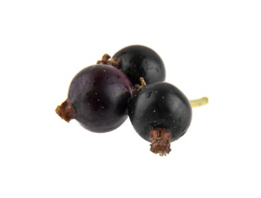 Beyaz arka plan closeup izole Siyah frenk üzümü