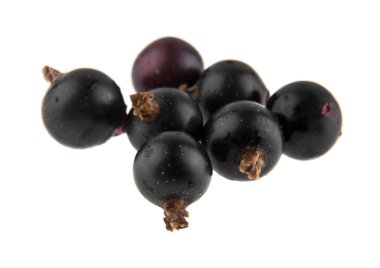 Beyaz arka plan closeup izole Siyah frenk üzümü