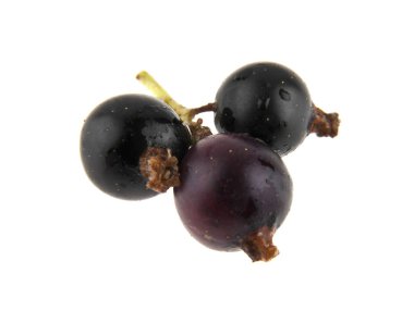 Beyaz arka plan closeup izole Siyah frenk üzümü