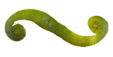 Beyaz arka plan closeup izole limon kabuğu