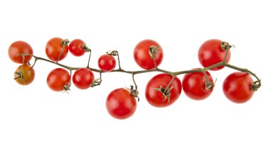 Beyaz arka plan closeup izole domates