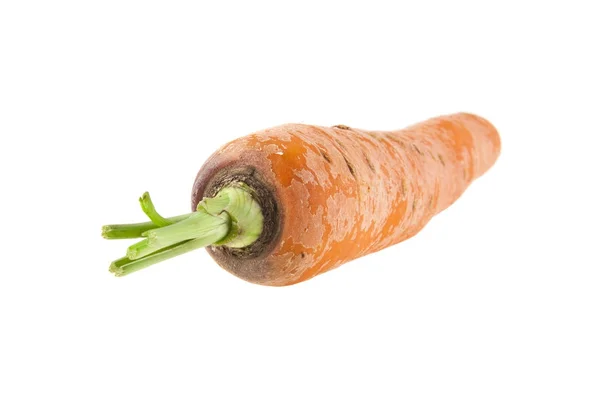 Морква ізольована на білому фоні крупним планом — стокове фото