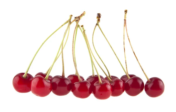 Red cherry isolated on white background closeup — Stock Photo, Image