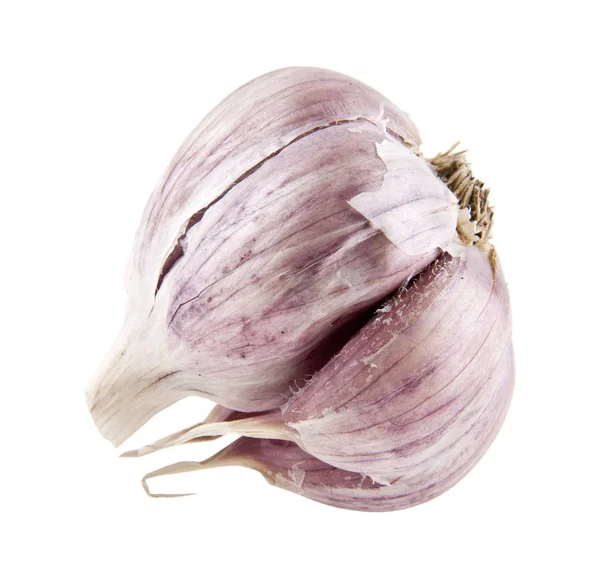 Knoblauch isoliert auf weißem Hintergrund Nahaufnahme — Stockfoto