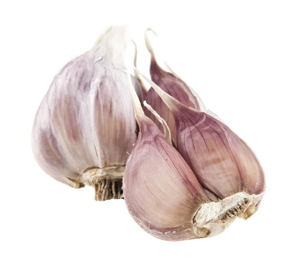 Knoblauch isoliert auf weißem Hintergrund Nahaufnahme — Stockfoto