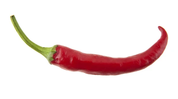 Varm röd paprika isolerad på vit bakgrund närbild — Stockfoto