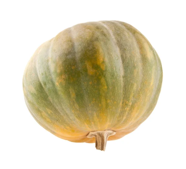 Zucca isolata su sfondo bianco primo piano — Foto Stock