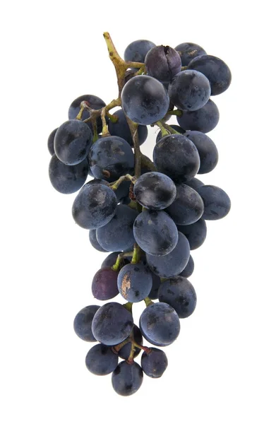 Grappolo d'uva isolato su fondo bianco primo piano — Foto Stock
