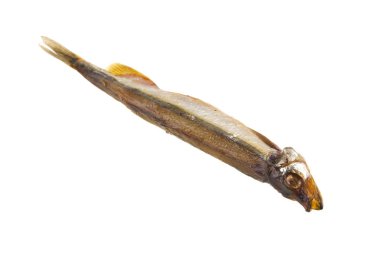 Beyaz arka plan üzerinde izole füme capelin