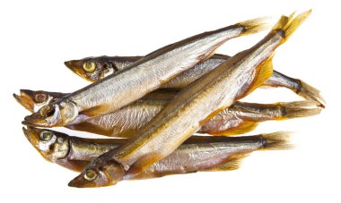 Beyaz arka plan üzerinde izole füme capelin