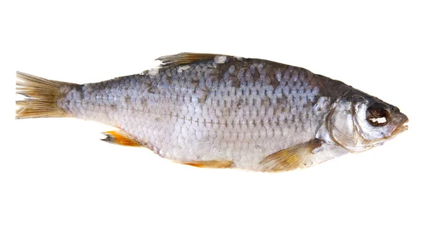 Dried fish isolated on white background — Stock Photo, Image