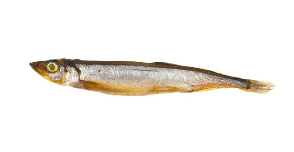 白色背景上孤立的熏制毛鳞鱼 — 图库照片