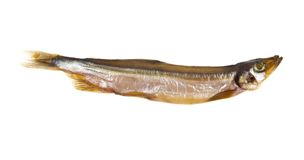 Geräucherter Capelin isoliert auf weißem Hintergrund — Stockfoto