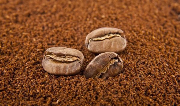 grains and ground coffee as background