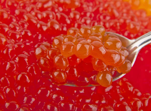 Spoon with red caviar on a background of red caviar Stock Image