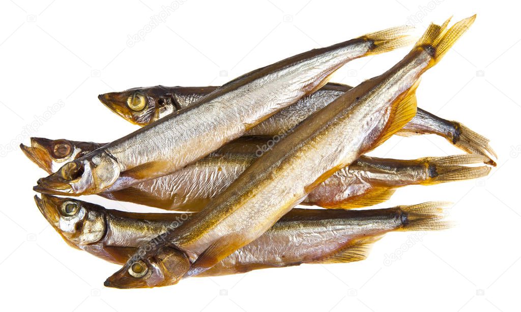 Smoked capelin isolated on white background