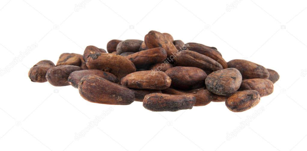 grains of cocoa isolated on white background