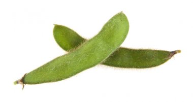 Soya fasulyesi beyaz arkaplanda izole