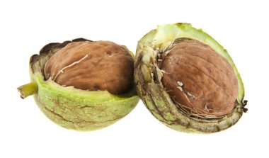 Beyaz arkaplanda izole edilmiş cevizler