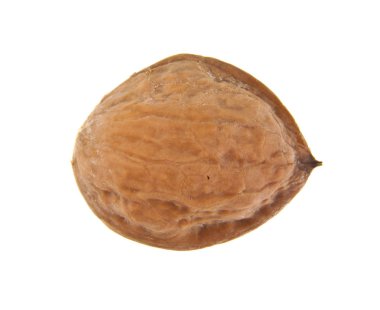 Beyaz arkaplanda izole edilmiş cevizler