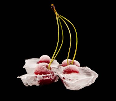 bir siyah arka plan portre üzerinde dondurulmuş vişne